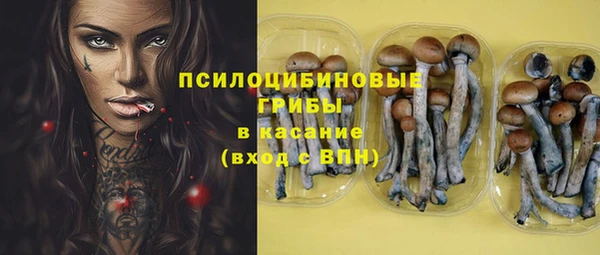 мяу мяу мука Лабытнанги