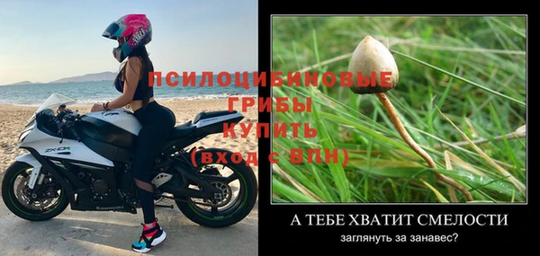 мяу мяу мука Лабытнанги